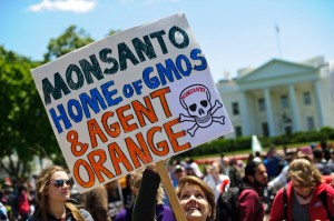 m-1-300x199 The world marches against Monsanto and GMO- RT NETWORK