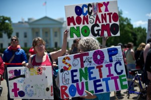 m-2-300x199 The world marches against Monsanto and GMO- RT NETWORK