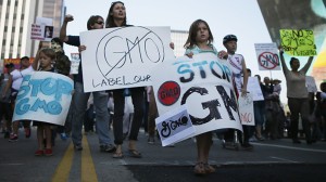 rtx1494x-300x168 The world marches against Monsanto and GMO- RT NETWORK